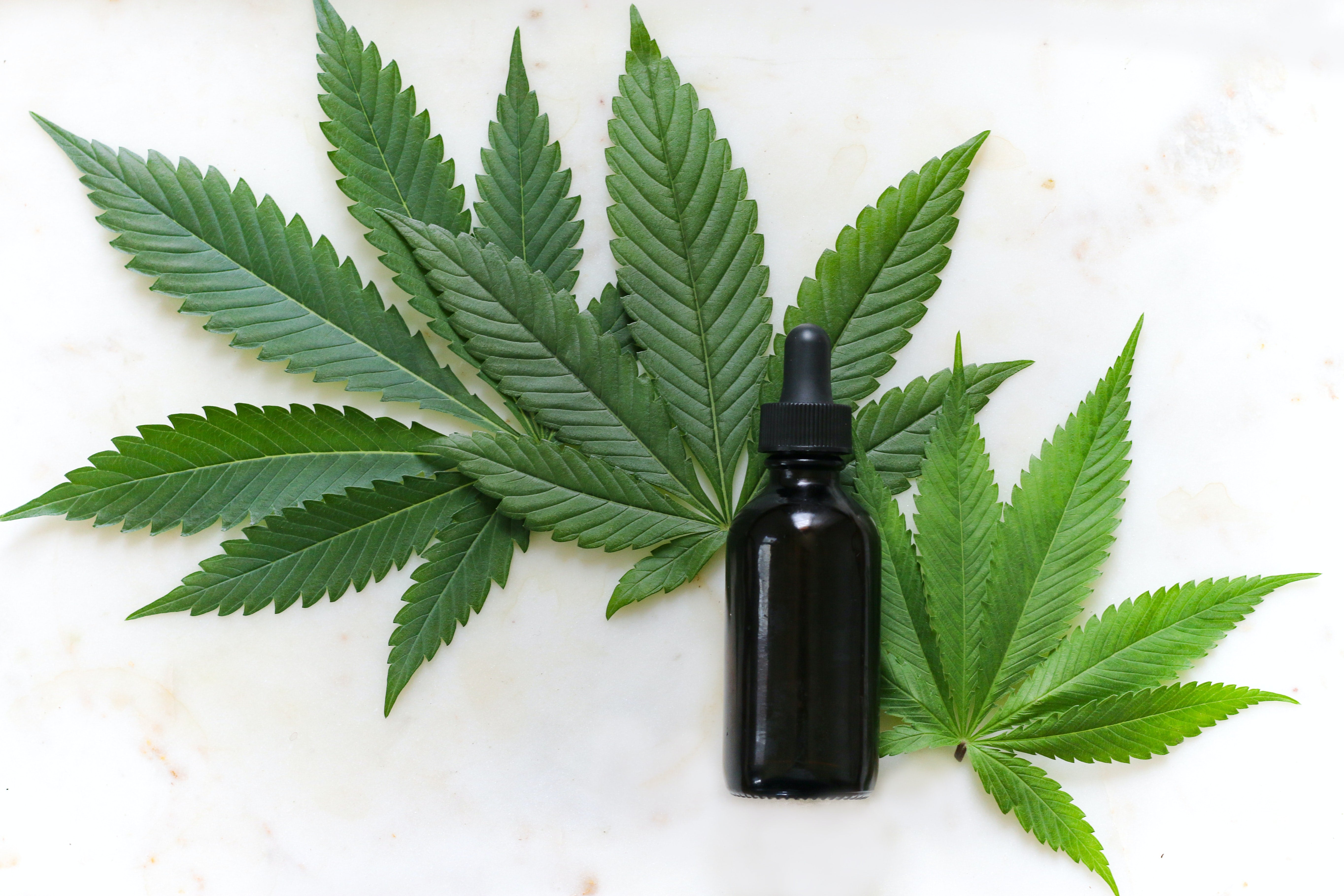 Cannabis Tinctures: A Beginners Guide to Tincture Oil